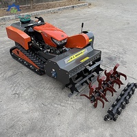 Robot tondeuse à chenilles diesel robuste avec moteur et boîte de vitesses de 800 mm de largeur, garantie 1 an pour les zones à broussailles denses et l'herbe haute