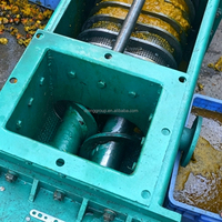 1-15TPD Dubbele Schroef Palmoliepers FFB Olieverwerkingsapparatuur Palmvruchtenpersmachine De Pers à Huile De Palme Op Voorraad