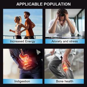 Chinaherbs - Suplemento para la Salud Cerebral de Marca Privada, Gomitas de Magnesio, Apoyo Inmunológico, Salud Cerebral, Venta al por Mayor, Complejo de Magnesio - Product Image 6