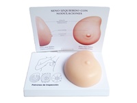 Modelo de Seno de Silicona Patológica para Ciencias Médicas, Producto de Grado Alimenticio, Modelo 3D para Prácticas de Examen de Senos, CE/ISO