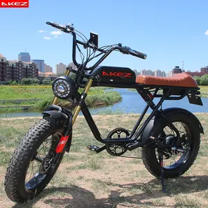 Hochwertiges 48V 500W Fat Tire Elektro fahrrad 20 Zoll Adult E Mountainbike 13 Ah Lithium batterie Fast E Bike Zum Verkauf