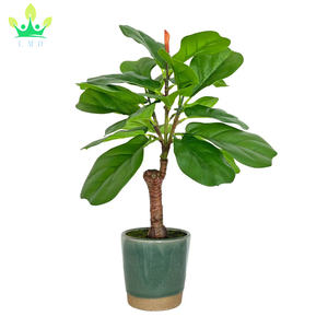 <span class=keywords><strong>Petit</strong></span> <span class=keywords><strong>pot</strong></span> d'<span class=keywords><strong>olivier</strong></span> artificiel réaliste et fruits réalistes pour la maison, le bureau, le salon et la décoration de table. - Product Image 3