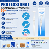 Brosse à dents à tête interchangeable avec manche réutilisable pour nettoyage interdentaire, emballage personnalisé, vente en gros, marque privée