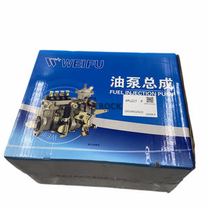 Pompa Injeksi Bahan Bakar 4PL217 BHF4PM100001 untuk Yangchai YZ4102ZLQ - Product Image 4