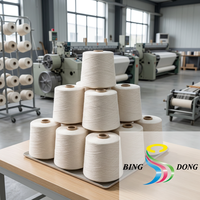 Fil à coudre 100% polyester filé 40/2 blanc brut / Fil à coudre Hilos De Coser Échantillon gratuit TKT120 40s/2 50/2 pour la couture de vêtements à grande vitesse