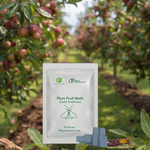 Pheromone Lure e Atrativo para Mariposa de Fruta Cydia Funebrana Grapholitha Funebrana Controle Orgânico de Pragas Ecológico Não Tóxico - Product Image 1