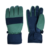 Gants de ski professionnels en nylon légers et imperméables, protection contre les chocs, TJ SNOW, thermiques, unisexes, pour snowboard, hiver extrême