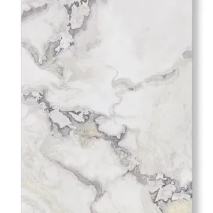 Nouveaux carreaux et marbres en marbre blanc d'huître dalles de marbre en pierre pour mur de sol de maison Onyx blanc Marmor