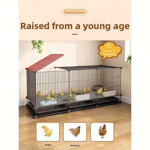 Cage d'élevage moderne robuste anti-souris et anti-guêpe en fil de fer crypté pour l'élevage de volailles (80 poussins, cailles, canards) - Product Image 4