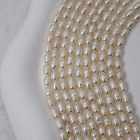 Perles d'eau douce naturelles en forme de vis, perles en vrac de 4 à 12 mm pour la création de bijoux faits main, bracelets, colliers, artisanat DIY