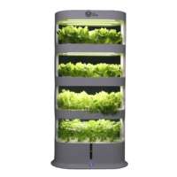Nouveau style de tour hydroponique verticale d'intérieur à 4 couches système de culture domestique à effet de serre agricole simple vente en gros