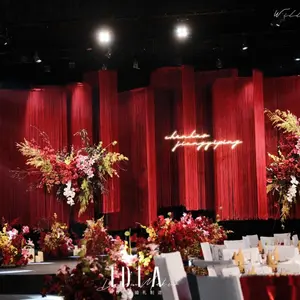 Wedding Decor Backdrop Decorative <strong>Window</strong> <strong>Curtain</strong> <strong>String</strong> Drapes - Product Image 1