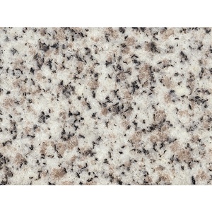 Caesar White granite per pavimenti parete bagno <span class=keywords><strong>cucina</strong></span> controsoffitti blocchi da parete lastre piastrelle tagliate a misura bordi disponibili - Product Image 1