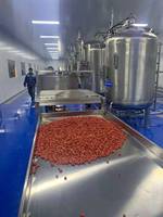 Machine à fabriquer des chips croustillantes de fruits et légumes à la technologie de friture sous vide