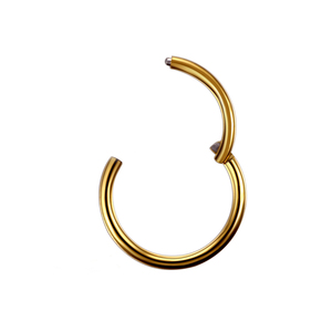Piercing de titanio para la <span class=keywords><strong>nariz</strong></span> del tabique 20G Cartílago de hélice Rook Hoop Pendiente con bisagras Clicker Segment Nose Ring - Product Image 2