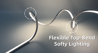 Bande LED néon flexible étanche 10*10mm, CRI élevé, DC24V, découpe libre, longue durée de vie, blanche, pour éclairage décoratif intérieur et éclairage d'accentuation architectural