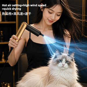 <b>Pet</b> Hair Dryer 153*85mm Portable Neck Hanging Grooming Tool For Cat - Product Image 2