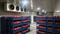 Chambre froide commerciale pour viande et volailles fraîches, congélateur et chambre froide de plain-pied à vendre