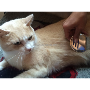 الحيوانات الأليفة الفولاذ المقاوم للصدأ رئيس مشط القمل المسمار موضوع إبرة الكلاب القطط إزالة البرغوث مشط - Product Image 5