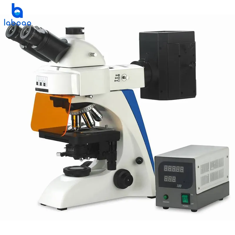 Microscópio de fluorescência biológica de alto desempenho Laboao com câmera integrada para uso laboratorial