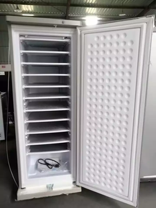 Mali Market Best Price Single Door <strong>Silver</strong> Color 198 Liters Upright <strong>Freezer</strong> with 11 Floors for Commercial Use - Product Image 3