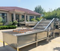 De Nieuwste Dual-Functionele Reiniger Fruitgroente Luchtbel Wasmachine Voor Thuis & Klein Bedrijf & Restaurant