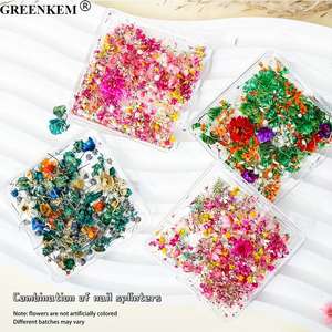 Nuevas flores secas Nail Art Charms Mixed Tianxing Sunflower Real Flower Nail Decoration DIY Dry Flower Nail Charms - Product Image 3