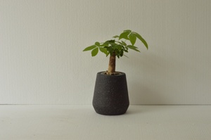 Vente de gros Pots de fleurs personnalisés <span class=keywords><strong>en</strong></span> argile fibre, <span class=keywords><strong>kit</strong></span> de décoration pour intérieur et extérieur et <span class=keywords><strong>jardin</strong></span>, vente <span class=keywords><strong>en</strong></span> gros <span class=keywords><strong>en</strong></span> Chine, pour concevoir vos propres potiers - Product Image 5