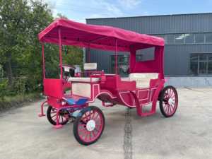 Vehículo de transporte especial Boda real Carruaje tirado por caballos Carruaje turístico Carruaje tirado por caballos - Product Image 3