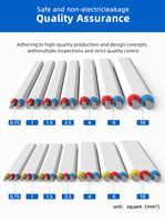 BLVVB 3-adriges Aluminium-Flachkabel 4/6/10mm² PVC Doppelmantel für Haushaltsgeräte-Stromanschluss