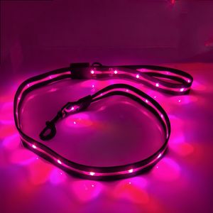 Usb C Oplaadbare Led Verlichte Hondenriem Reflecterende Nylon Pet Lood Met 12 Mode Kleuren Veranderlijke Eenvoudige Stijl - Product Image 4