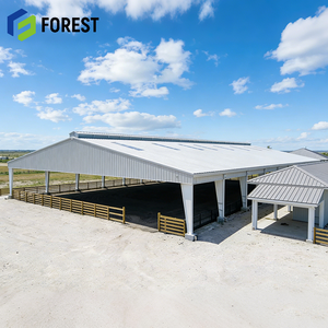 Centro Ecuestre de Estructura Metálica Multifuncional, Ecológico, de Tamaño Personalizado y Bajo Mantenimiento, Nivel Élite - Product Image 1