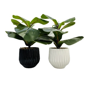 Venta caliente simple maceta <span class=keywords><strong>de</strong></span> cerámica artificial decoración <span class=keywords><strong>interior</strong></span> planta bonsái - Product Image 6