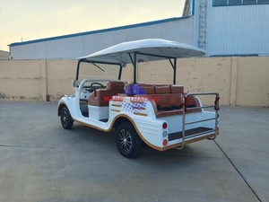Vehículo Eléctrico Clásico Retro de 8 Plazas: Autonomía de 80 a 120 km, Equipado con Baterías Sin Mantenimiento - Product Image 6