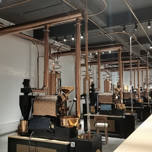 Qualità straordinaria modalità di riscaldamento opzionale caffè torrefazione condotto di scarico <span class=keywords><strong>per</strong></span> la vendita - Product Image 6