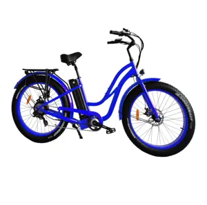 شعبية 500 واط قوة كبيرة الدهون الاطارات دراجة كهربائية/الثلج e-الدراجة/الدهون ebike RSEB506