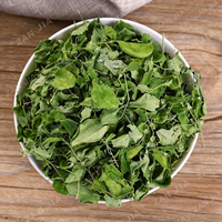Ekstrak Herbal Daun Moringa Oleifera Kering Kelas Ekspor & Bahan Baku Teh Daun Minyak Moringa