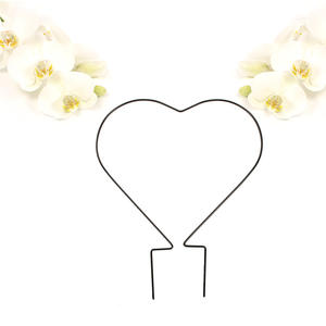 <span class=keywords><strong>Support</strong></span> <span class=keywords><strong>pour</strong></span> <span class=keywords><strong>plantes</strong></span> grimpantes <span class=keywords><strong>d</strong></span>'<span class=keywords><strong>intérieur</strong></span> multi-tailles, en fer forgé, en forme de cœur circulaire, cadre <span class=keywords><strong>pour</strong></span> <span class=keywords><strong>plantes</strong></span> de forme irrégulière - Product Image 1