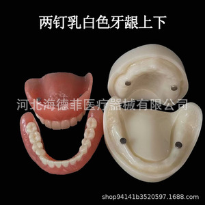 Modèle d'implant dentaire maxillaire et mandibulaire à 2 ou 4 vis en silicone médical pour la formation dentaire - Product Image 5
