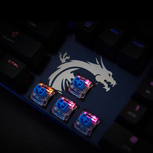 Livolo-clavier de jeu mécanique MSI vector <span class=keywords><strong>GK50</strong></span>, avec interrupteurs rouge, bleu, noir, marron et lumière RGB - Product Image 5