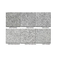 Planche de comptoir en granit sel et poivre poli et flamé sur mesure, dalle murale, sol, pierre naturelle, granit gris clair blanc