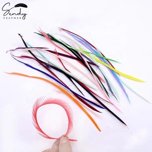 Plumes de <span class=keywords><strong>Biot</strong></span> d'Oie Sélectionnées de 6 à 9 pouces, Plusieurs Couleurs, pour la Confection de Mouches, la Fabrication de Chapeaux et la Décoration de Mode (Vente en Gros) - Product Image 6