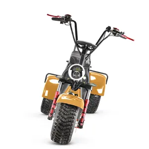 trike bike 4000W 60V 40AH battery Electric scooter 3 wheel electric scooter with pedal citycoco COC dropshipping