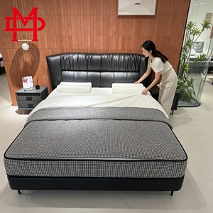 现代软床，真皮内饰，木框架，环保耐用设计，弹簧床，10年保修 - Product Image 1