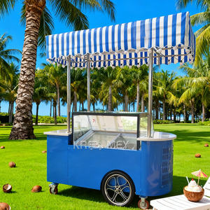 Kiosque de vente de sucettes glacées 2025, remorque alimentaire, tricycles pour la vente de glaces, camion de nourriture - Product Image 6