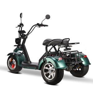 Triciclo <span class=keywords><strong>El</strong></span>éctrico Loyal de 4000W con Doble Motor, GPS, Plegable, Resistente al Agua, Batería de Litio, Alcance de 60-100km, Velocidad Máxima de 50km/h - Product Image 4