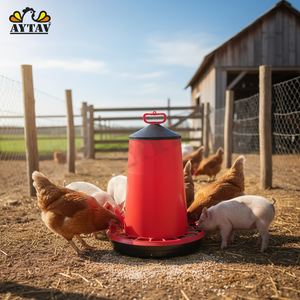 Alimentador automático de plástico Manuel, comederos de pollos y cerdos medianos de 15kg para cría de animales de granja, Estado nuevo y usado - Product Image 3