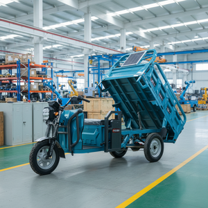 Tricycle à trois roues 1000W à prix abordable avec boîte de vitesses Beilande à 3 rapports pour un changement de vitesse fluide et polyvalent - Product Image 1