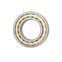 Bearing Rol Silindris NUPK204 NUP204 ECP 20x47x14mm