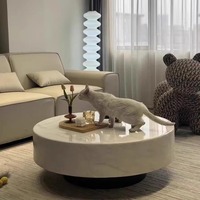 Table basse en marbre crème minimaliste italienne avec espace de rangement, design moderne subtilement luxueux et extensible pour salons